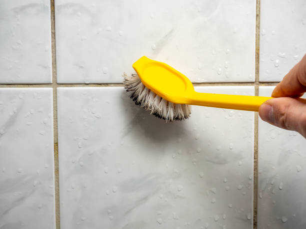 Best Commercial Mold Removal  in Bellevue, MI