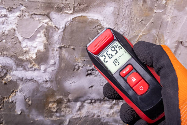 Professional Mold Removal in Bellevue, MI