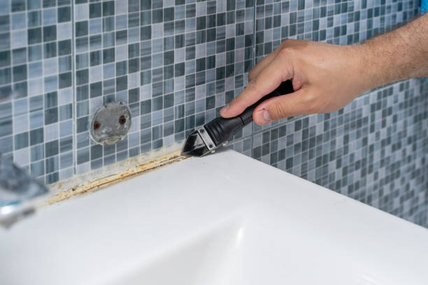 Best Mold Removal Company Near Me  in Bellevue, MI