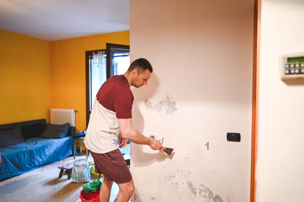 Best Mold Testing  in Bellevue, MI